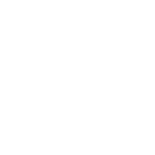 feature-item-2